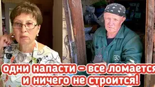 Гады на огороде, про свёклу трёх категорий, муж сломал болгарку и дверь сделать не может