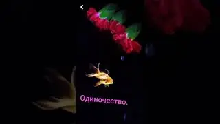,,Раздели со мной своё одиночество.