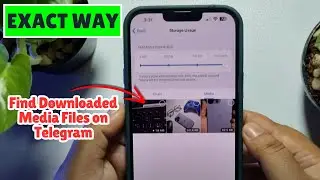 Find Downloaded Media Files on Telegram App on iPhone