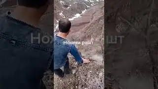 дига рафта намеша