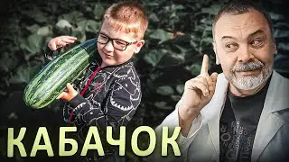 СКРОМНОЕ ОБАЯНИЕ КАБАЧКА.  / свойства кабачка / кабачки для похудения / кабачки при диабете /