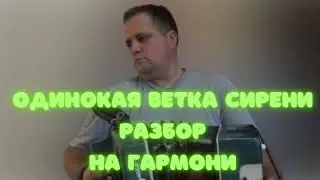 Одинокая ветка сирени разбор на гармони