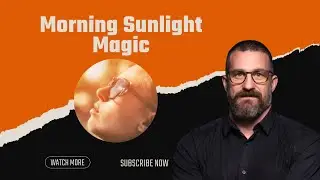 Neuroscientist: The Power of Morning Sunlight & Sleep Hacks