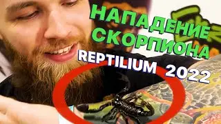 REPTILIUM 2022. НАПАДЕНИЕ СКОРПИОНА !МЕНЯЮ ФОРМАТ КАНАЛА - СМОТРЕТЬ ВСЕМ!