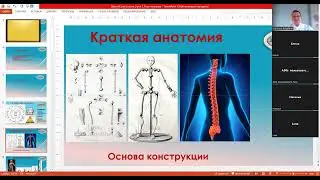 Школа Салусологии. Урок 2. Тело человека (анатомия с позиций салусологии). Теория