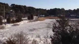 The morning after...Cape Cod snow