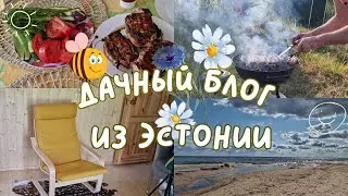 Дача в Эстонии.Мебель для дачи.Чудское озеро.Шашлыки на даче.Дачный блог.Дачные будни.Семейные влоги