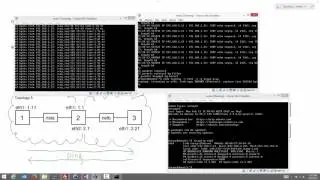 Copying Files from Linux Guest to Windows Host