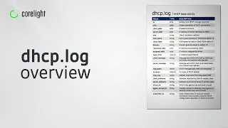 DHCP log overview