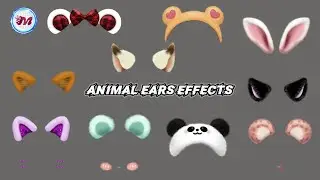 GREEN SCREEN ANIMAL EARS EFFECTS