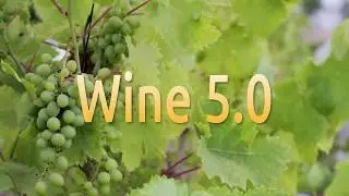 How to install Wine 5.0 on Ubuntu 19.10