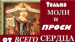 6 ноября Праздник иконы Богородицы Всех скорбящих радость.ТОЛЬКО Моли и ПРОСИ от всего Сердца