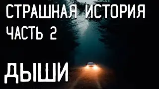 СТРАШНЫЕ ИСТОРИИ НА НОЧЬ / СТРАШНЫЕ ИСТОРИИ ПРО ДЕРЕВНЮ / СТРАШНЫЕ ИСТОРИИ ПРО ЛЕС / ВЕДЬМЫ