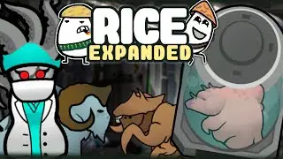 ГЕНЕТИКА ЛУЧШЕ ЧЕМ ДЛС BIOTECH 🍚 Rimworld RICE EXPANDED