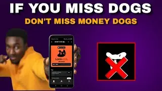 If You Miss Dogs Airdrop Don’t Miss Money Dogs Telegram Airdrop