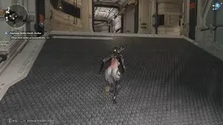 What The First Descendant Needs Is New content & raid mode?