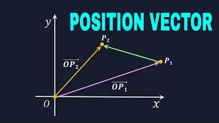 Position Vector of a Point - Definition, Example, Class 11