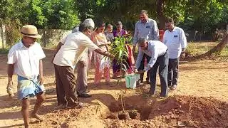 Planting a tree in memory of my superannuation on 8th April 2024