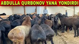 ABDULLA QURBONOVGA TAROZNI BUZVORADIGON QOCHQORLAR KELDI