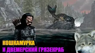 Skyrim | Кошкамурка и Двемерский грязекраб