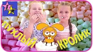 Челлендж Пухлый Кролик CHUBBY BUNNY CHALLENGE