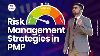 What are the risk response strategies in PMP?