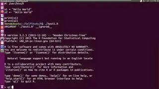 R Programming | How to Run Script in Command Line