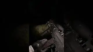 He's zooming so fast | Stalker Gamma 