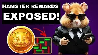 Hamster Kombat Rewards: How to Be Among the Few Who Get Paid