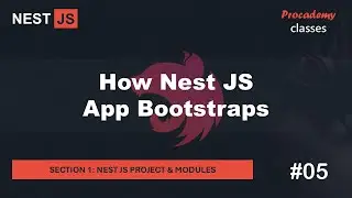 #05 How Nest JS App Bootstraps | Nest JS Project & Modules | A Complete Nest JS Course