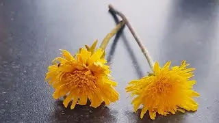 Одуванчик из гибкой мастики