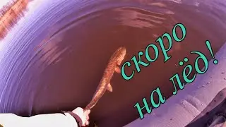 Рыбалка уходящего сезона 2020! Отзыв DODGER 752ML.
