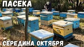Пасека! Середина октября!