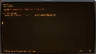 Python ASMR - Hostname to IP Address Lookup - No Talking