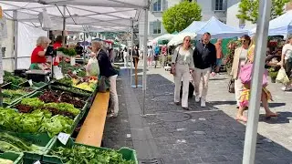 Luzern🇨🇭Switzerland || Market in Lucerne || Travel guide || 4K