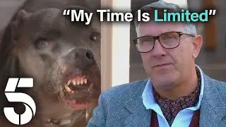 Attention Seeking Staffy Is Ruining Precious Family Time | Dogs Behaving (Very) Badly | Channel 5