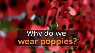 Why do people wear poppies to mark Armistice Day in the UK?