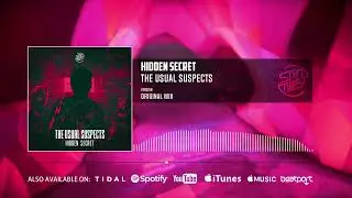 Hidden Secret - The Usual Suspects (Official Audio)