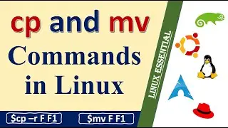 How to copy and move files in Linux || cp || mv