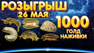 🎁 Розыгрыш 1000 голд наживки 🎯 26 мая 🎣 Русская Рыбалка 4