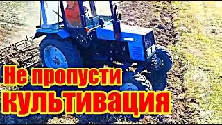 Трактор БЕЛАРУС 920 с культиватором Культивирует огород КУЛЬТИВАЦИЯ огорода 