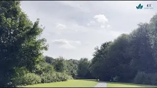 A sunny day stroll through the park