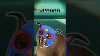 Я ЭльПримо я лучше всех урааа 🙃