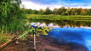 🎣ЗАМОРИВСЯ ТЯГАТИ РИБУ 🐟 р. Псел. Рибалка на фідер. Нічна риболовля.