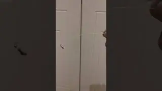 За что мне нравится кивок из МД для безмотылки