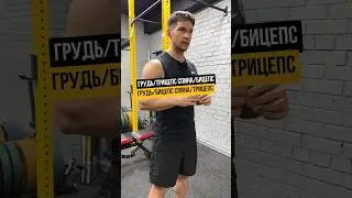 С ЧЕМ КАЧАТЬ СПИНУ, А С ЧЕМ ГРУДЬ?