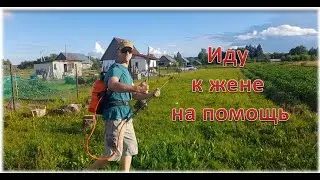 Они хотели лишить нас урожая.