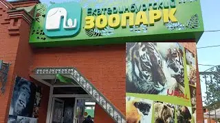 🤩пришли в Екатеринбургский😎зоопарк и 🤑 увидели то🥳что мы даже не ожидали...🤯