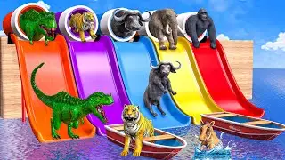 Choose The Right Pipe 올바른 파이프 선택 Mammoth Elephant Cow Tiger Dinosaur Gorilla| Wild Animals