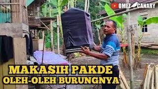 LEBARAN DI KAMPUNG DAPET BURUNG GACOR CUMA 350RB | LANGSUNG BUNGKUS AJA PAKDE